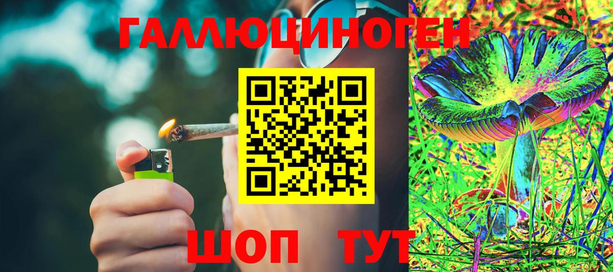 Астрахань  Галлюциногенные грибы мухоморы  хочу   Вход с VPN 