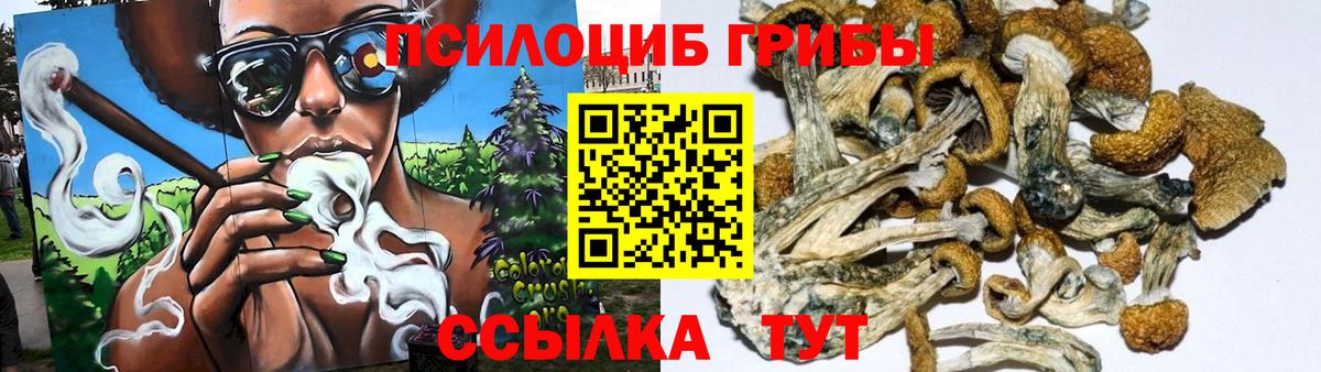 Галлюциногенные грибы Magic Shrooms Астрахань